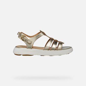 GEOX Nebula 2.0 C S Mujer Dorado Claro