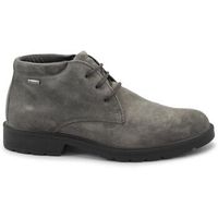 igico botines igi-i25-8602533-fa para hombre