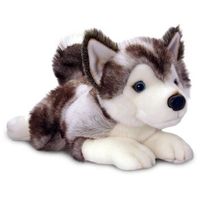 import perrito husky 35cm