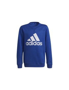 Sudadera adidas Essentials Big Logo Kid