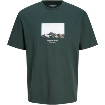 Jack & Jones Camiseta 12253960 JORVESTERBRO PICTURE TEE SS CREW JNR FOREST para niño