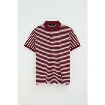 Polo Club Polo RIGBY GO POLO SS STRIPES para hombre
