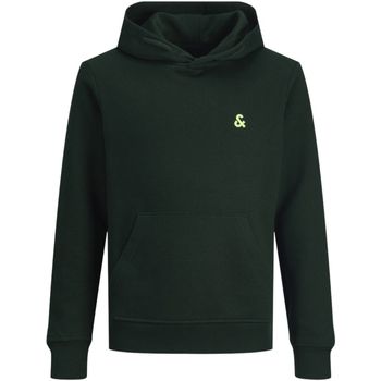 Jack & Jones Jersey 12213100 JJESTAR ROOF SWEAT HOOD NOOS JNR PINE GROVE para niño
