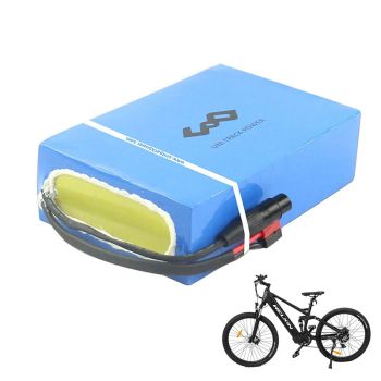 [UE Directa] UNITPACKPOWER D034 48V 20AH 960WH Batería Ebike Batería de 2500mAh con Junta de Protección BMS de 50A Carga