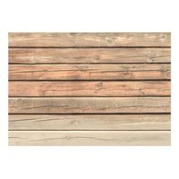 papel pintado 3d - old pine 400x280 cm