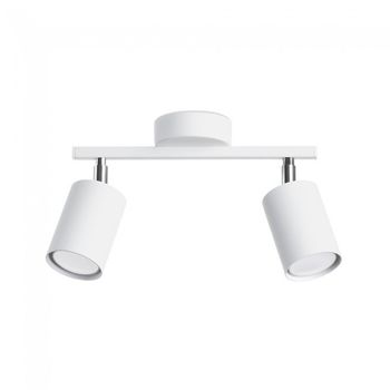 Regleta de techo lemmi (2 luces)