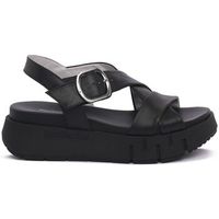 nerogiardini zapatos bajos 513696100 para mujer