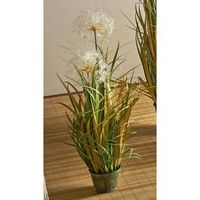 planta diente de leon 80 cms 80 cms