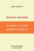 angeles mojados (iii premio de poesia federico muelas)