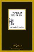 Nombres del árbol