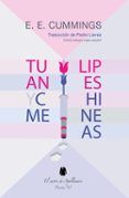tulipanes y chimeneas