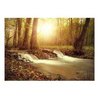 papel pintado 3d - sunny current 400x280 cm