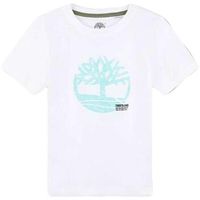 timberland camiseta t60087 para nino