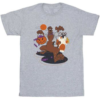 Dessins Animés Camiseta BI56469 para niño