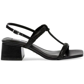Steve Madden Deportivas Moda SMSALTA-1 para mujer