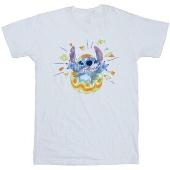 Disney Tops y Camisetas BI50318 para niño