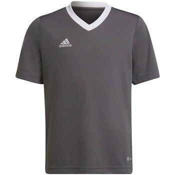 adidas Camiseta Entrada 22 Jsy para niño