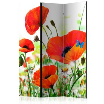Biombo - Country Poppies (135x172 Cm)