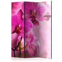 biombo - pink orchid room dividers