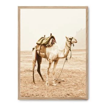 Cuadro Camel Trip