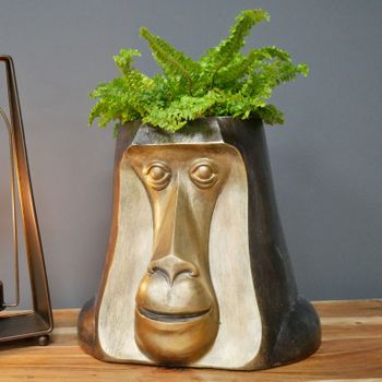 Happy Monkey Head Pot