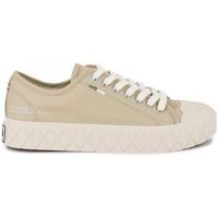 palladium zapatillas palla ace cvs org para hombre