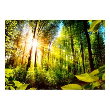 Papel Pintado 3d - Forest Hideout (300x210 Cm)