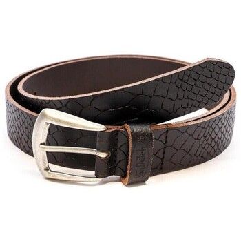 Von Dutch Cinturón CATTYH para mujer