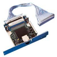 tarjeta de red zebra zebranet 10100 rj-45 alambrica 100 mbits azul purpura