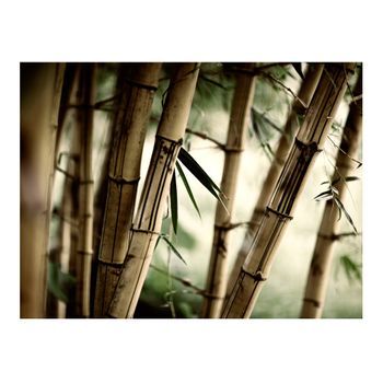 Papel Pintado 3d - Fog And Bamboo Forest (300x231 Cm)