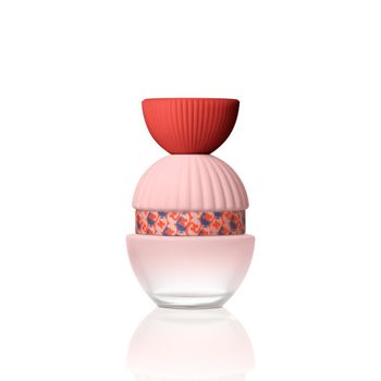 El Ganso - Fun & Chic Perfumes 100 ml female