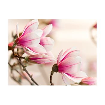Papel Pintado 3d - Branch Of Magnolia Tree (300x231 Cm)