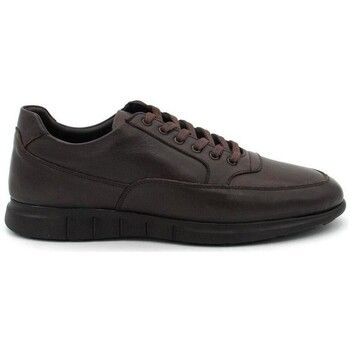 Antonello Deportivas Moda 1002 para mujer
