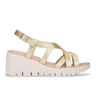 Wonders para mujer. D-2201_5432_7285 Sandalias de Piel April 01 dorado (41), 5 a 8cm, Hebilla, Casual