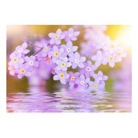 papel pintado 3d - violet petals in bloom 250x175 cm