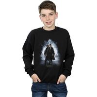 les animaux fantastiques jersey bi16735 para nino