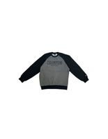 sudadera champion legacy gris hombre