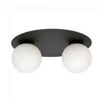 plafon de techo icaro opal 2 luces