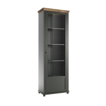 Vitrina 1 puerta apertura por la paneles de aglomerado verde y madera
