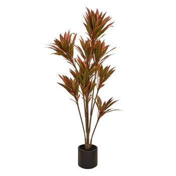 Dracena Roja Edi, 180 Cm, Con Maceta - Atmosphera Createur D'interieur