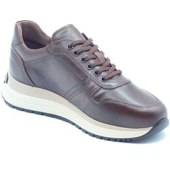 NeroGiardini Zapatillas I601301U Delavato para hombre