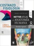 lote costanzo - netter