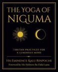 the yoga of niguma
