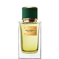 dolcegabbana velvet vetiver eau de parfum 100ml