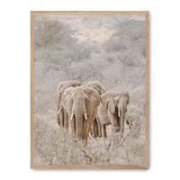 cuadro elephant herd i