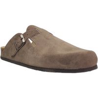 plakton zuecos blog para hombre