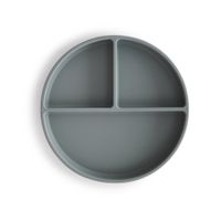 plato ventosa-compartimentos stone
