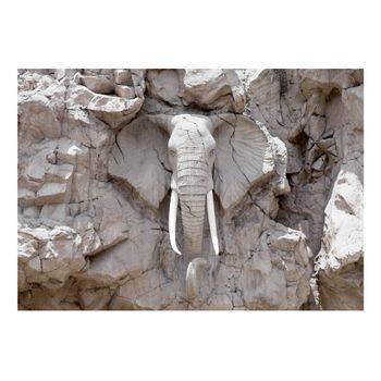 Papel Pintado 3d - The Bridge Of Time (south Africa) (250x175 Cm)