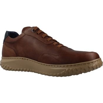 CallagHan Deportivas Moda Dorado Jacinto para hombre