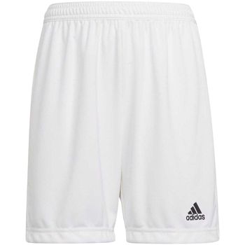 adidas Short niño Entrada 22 para niño
